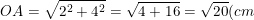 \small OA=\sqrt{2^2+4^2}=\sqrt{4+16}=\sqrt{20}(cm)